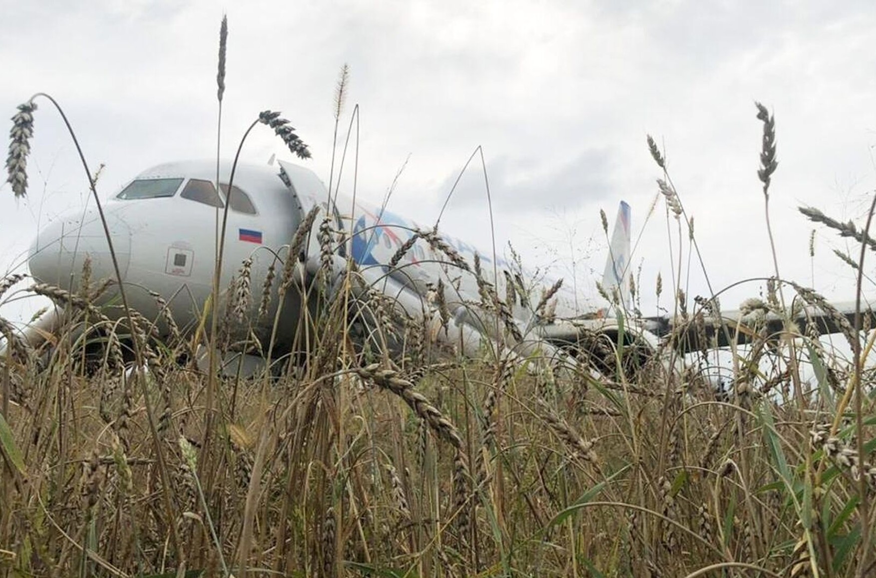 У самолета, севшего в поле под Новосибирском, оставалось топлива на пять минут - «Информационное агентство»