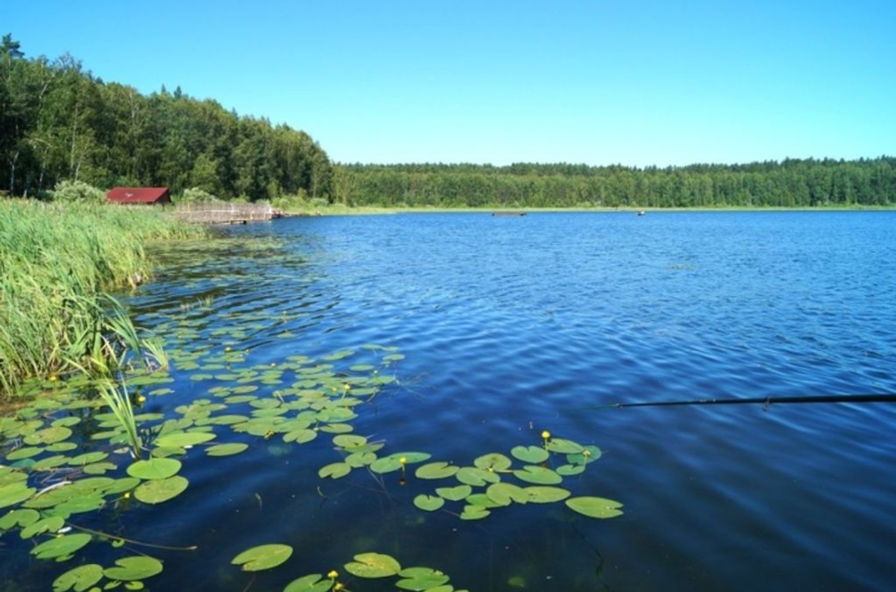 пять озер омская область базы отдыха