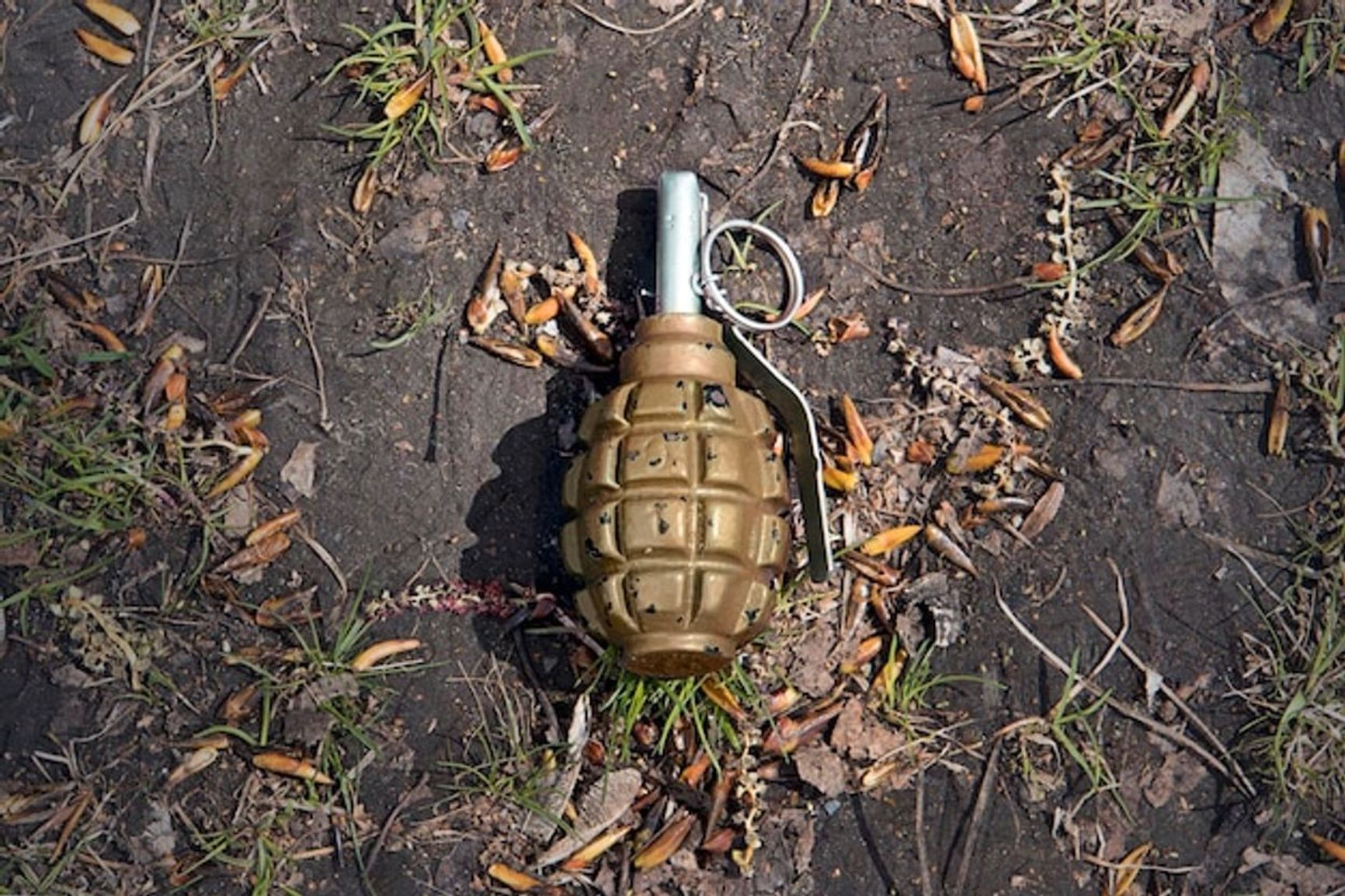 F1 hand grenade