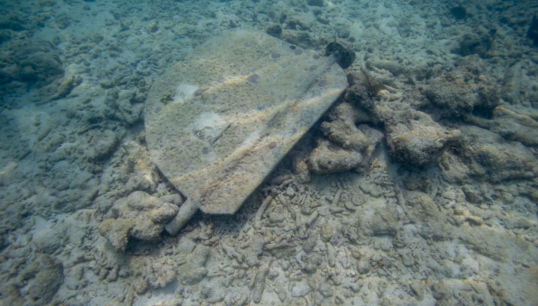 Фрагмент затонувшего судна в груде обесцвеченных мертвых кораллов на коралловом рифе в Ки-Уэст, штат Флорида