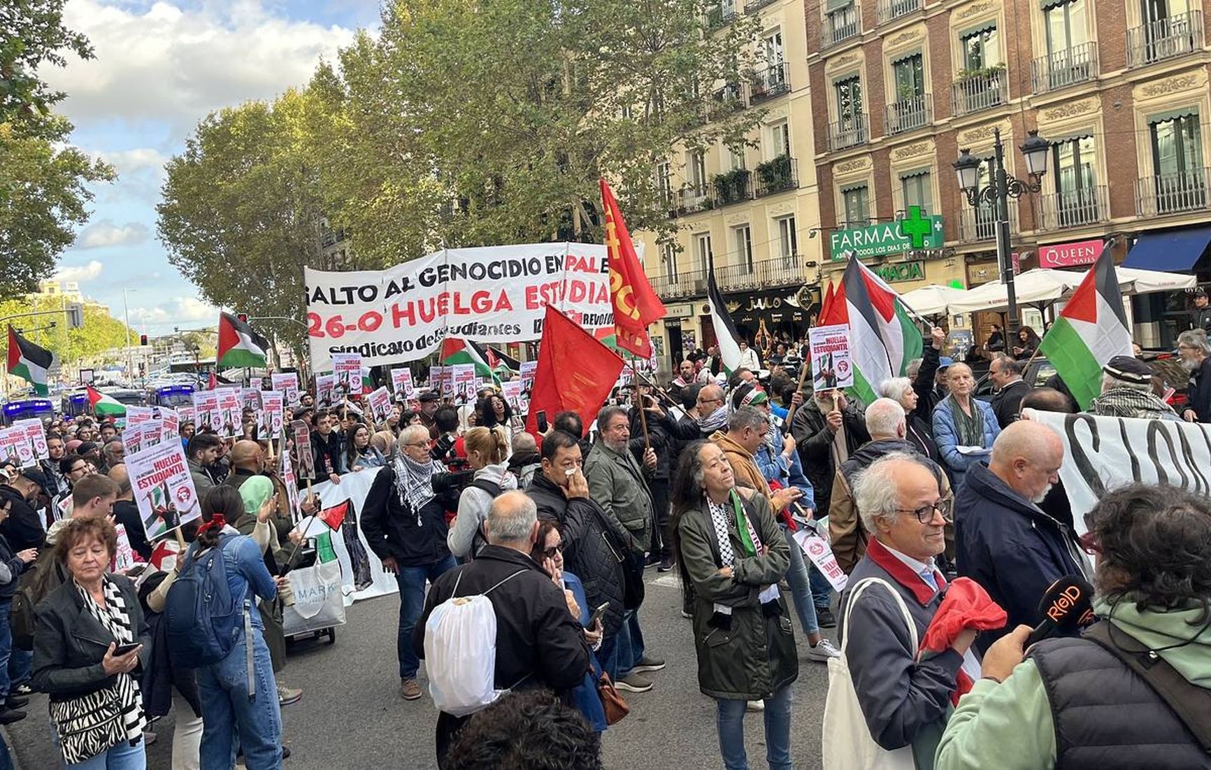 Protest in Support of Palestine, Madrid