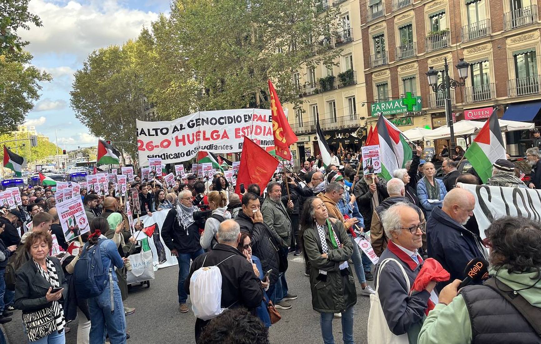 Акция в поддержку Палестины, Мадрид