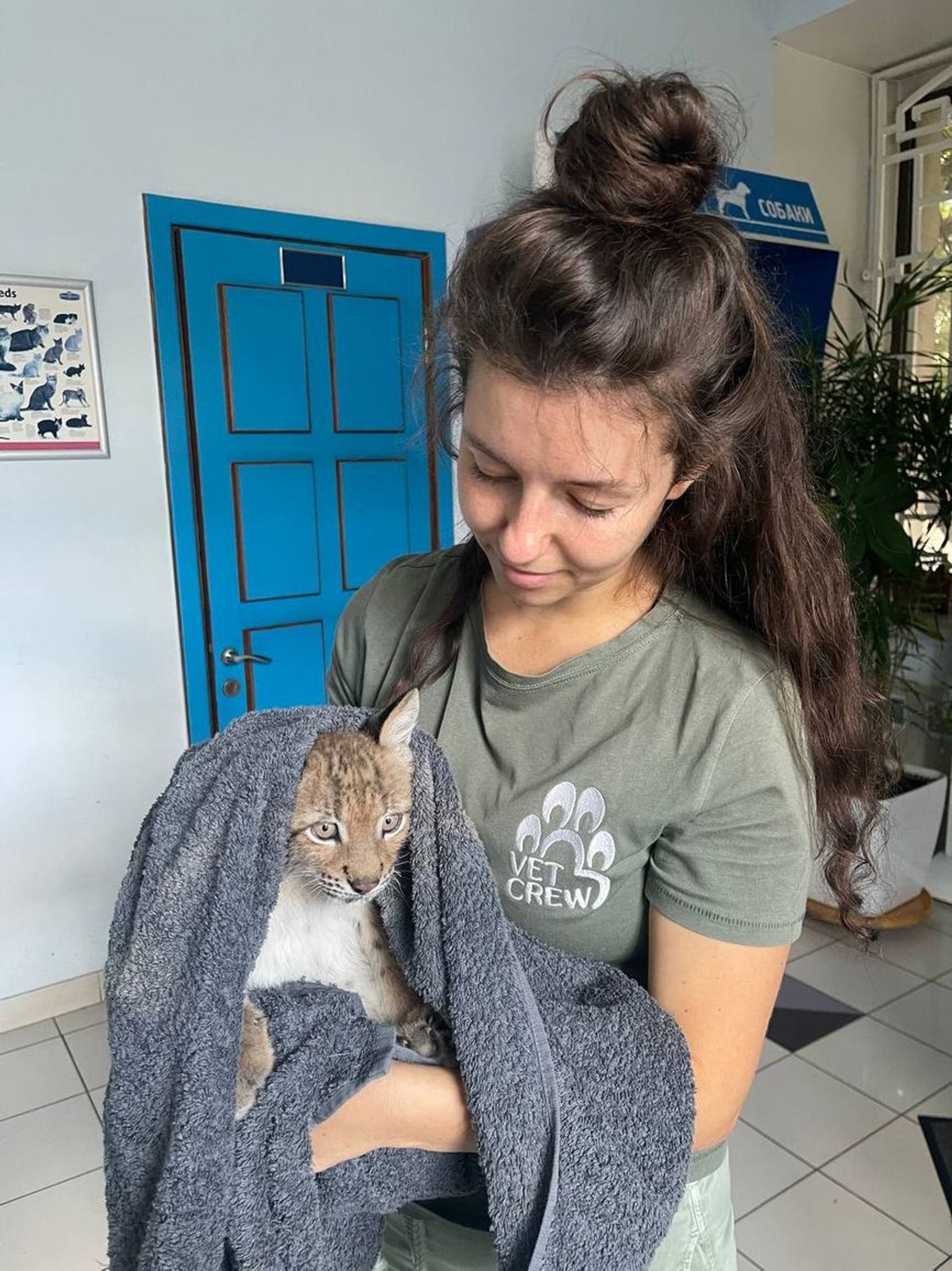 Valentina Stoyanova and an adopted baby lynx