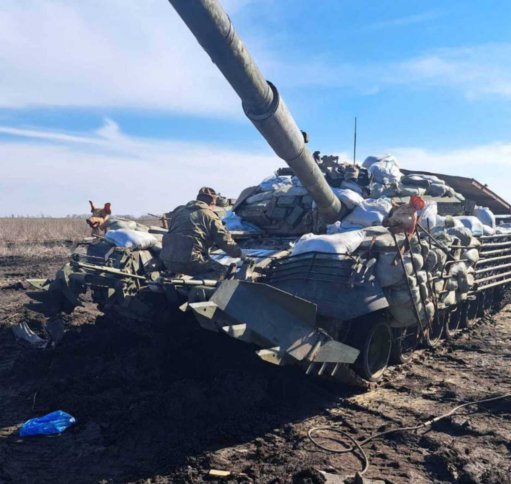 Российский танк Т-80БВ с минным тралом КМТ-6 и свиными головами на бортовых экранах