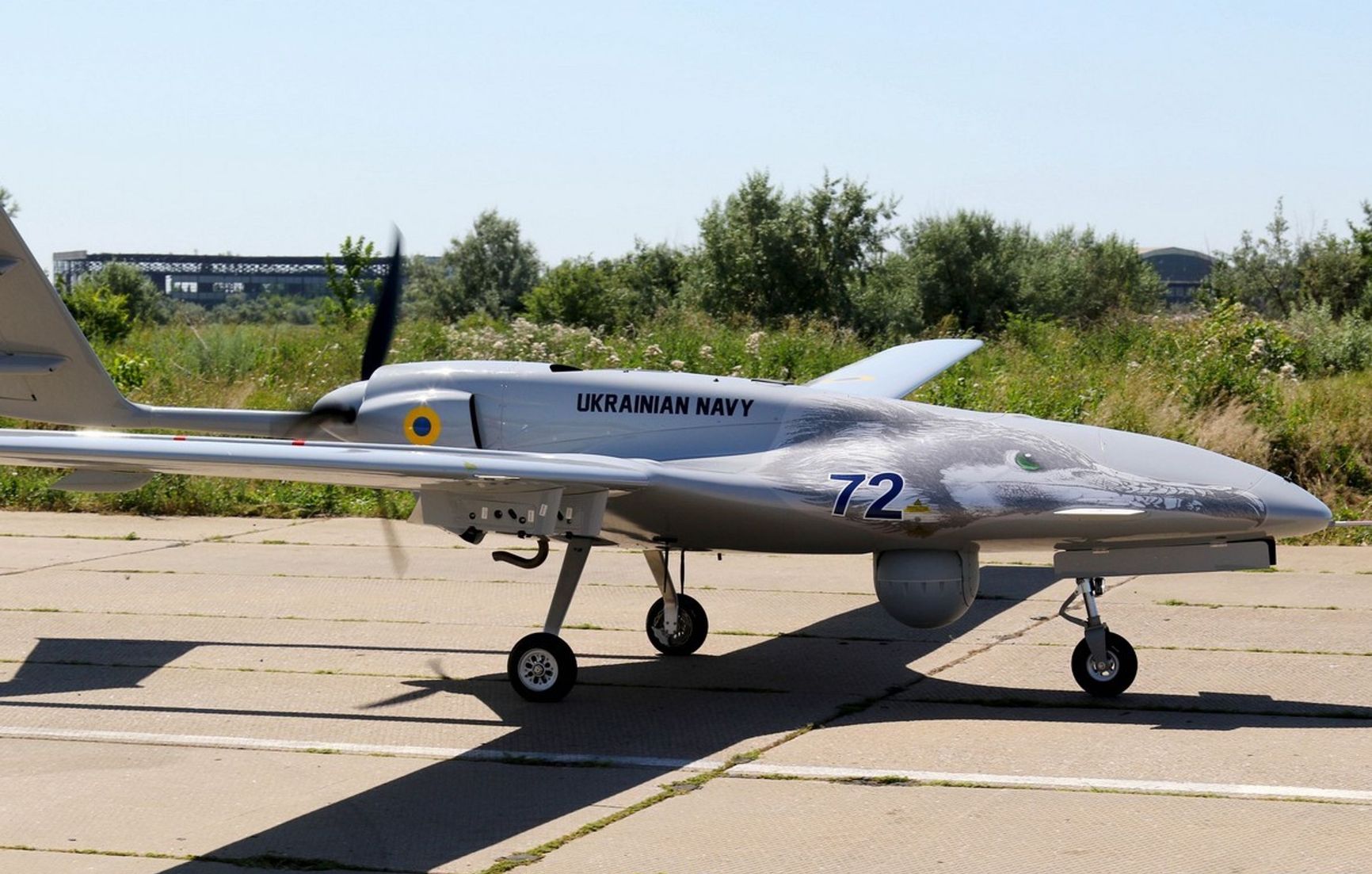 Bayraktar TB2 UAV, Ukrainian Naval Forces, July 15, 2021 