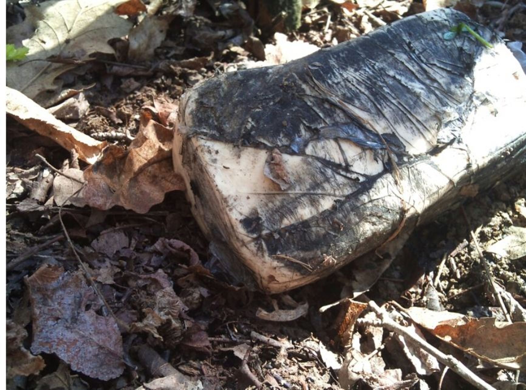 One of the unexploded packets of plastic explosive found near the explosion site.