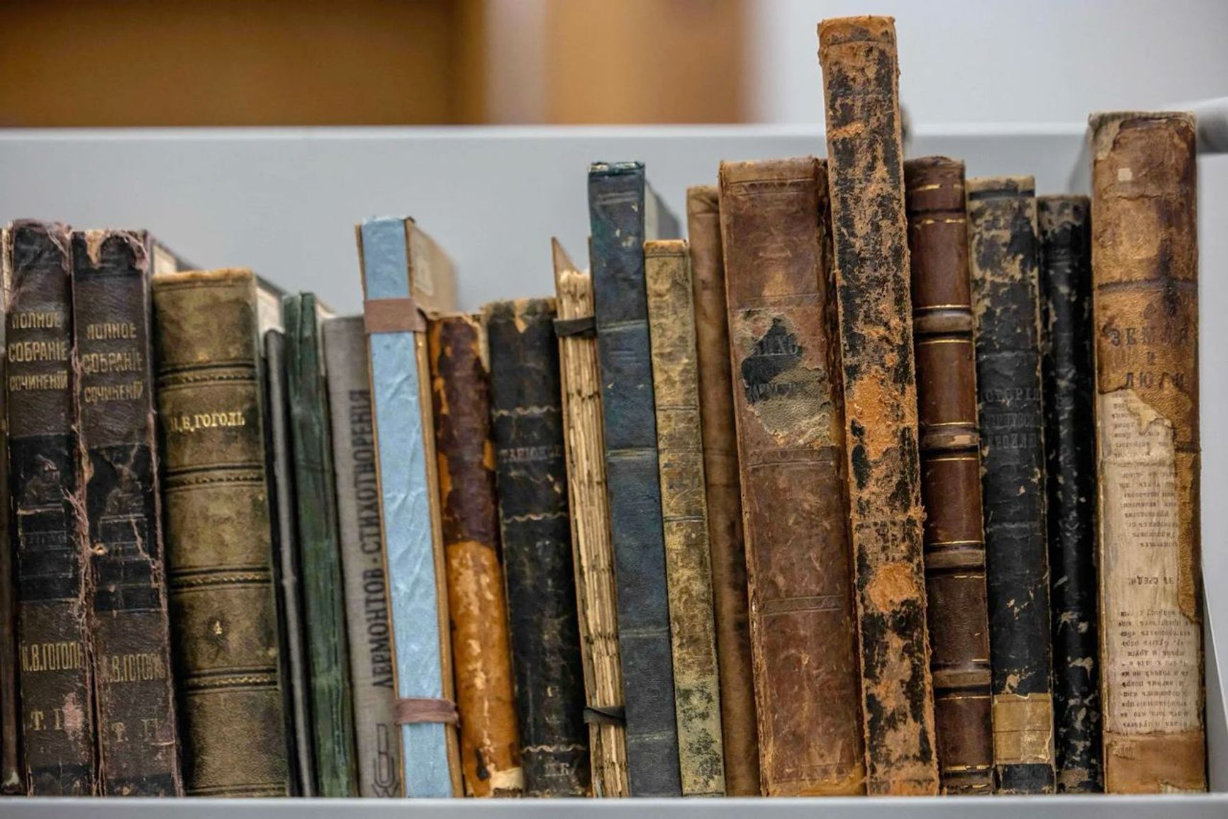 Библиотека Варшавского университета потеряла 78 редких книг. Вместо них остались некоторые репродукции