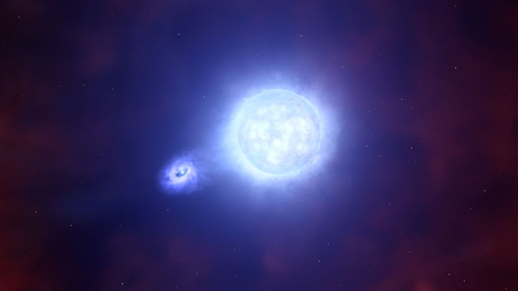 Компактный остаток и звезда-компаньон. Иллюстрация художника процессов в системе SN 2022jli, описанных учеными. 