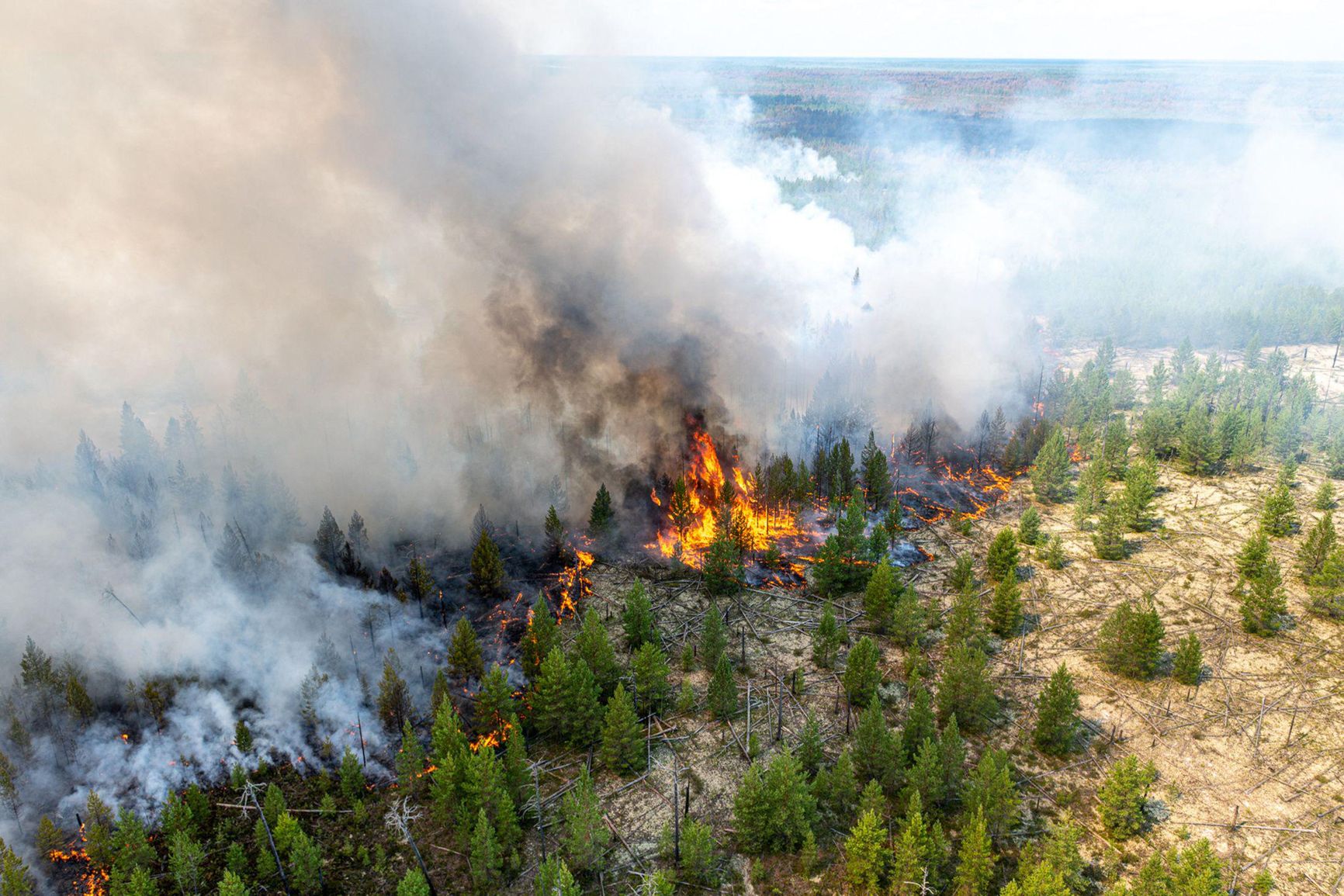 In 2018, forest fires in Russia affected an area of 3 million hectares