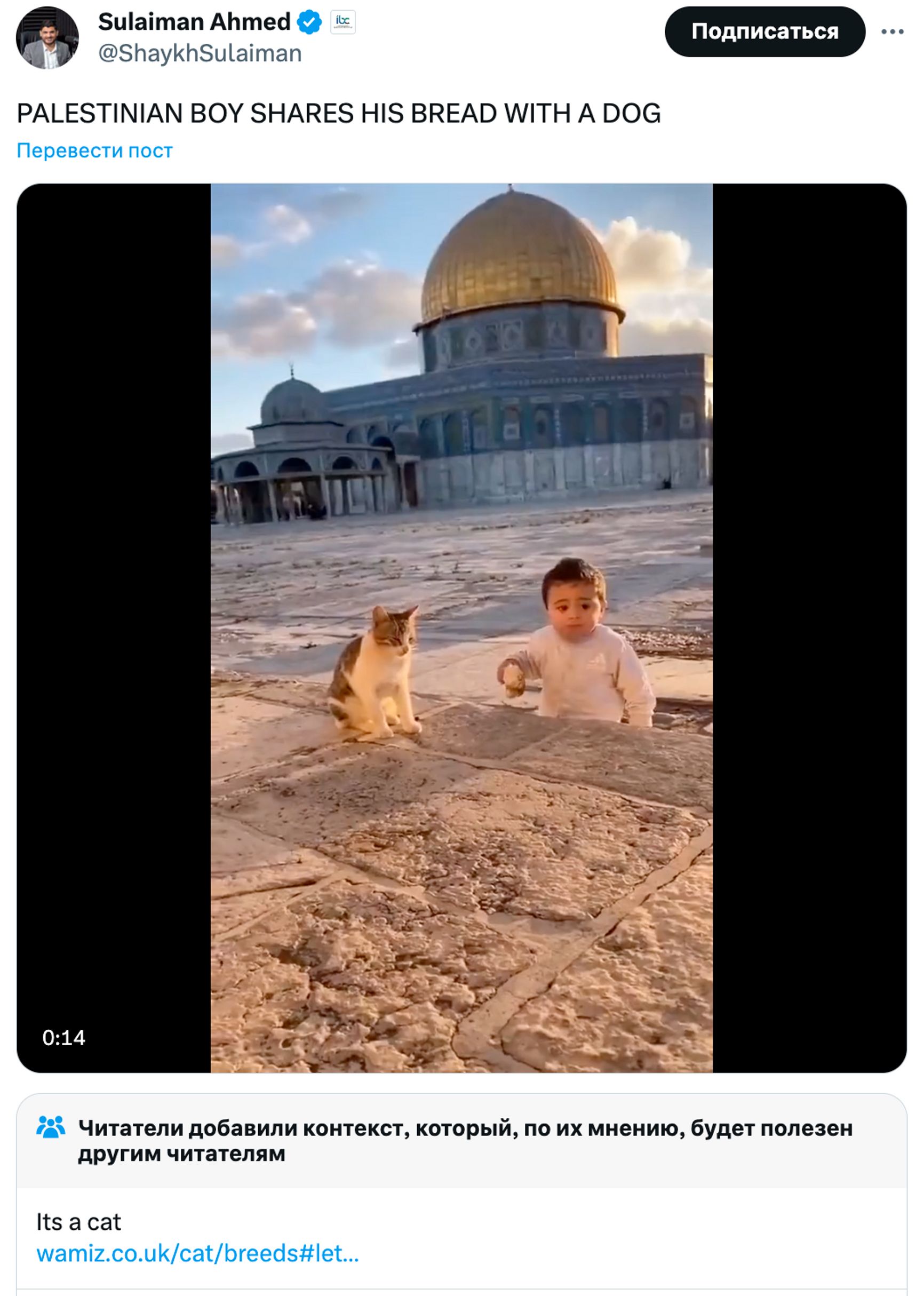 Твит: «Палестинский мальчик делится хлебом с собакой». Примечание сообщества: «Это котик».