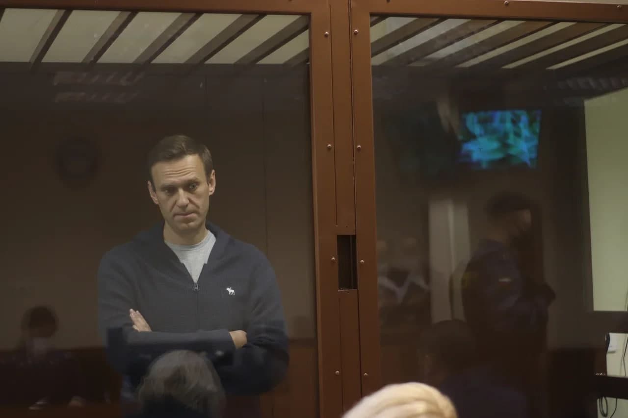 «Вопрос снят». Продолжение суда над Навальным по делу о клевете на ветерана в нескольких диалогах