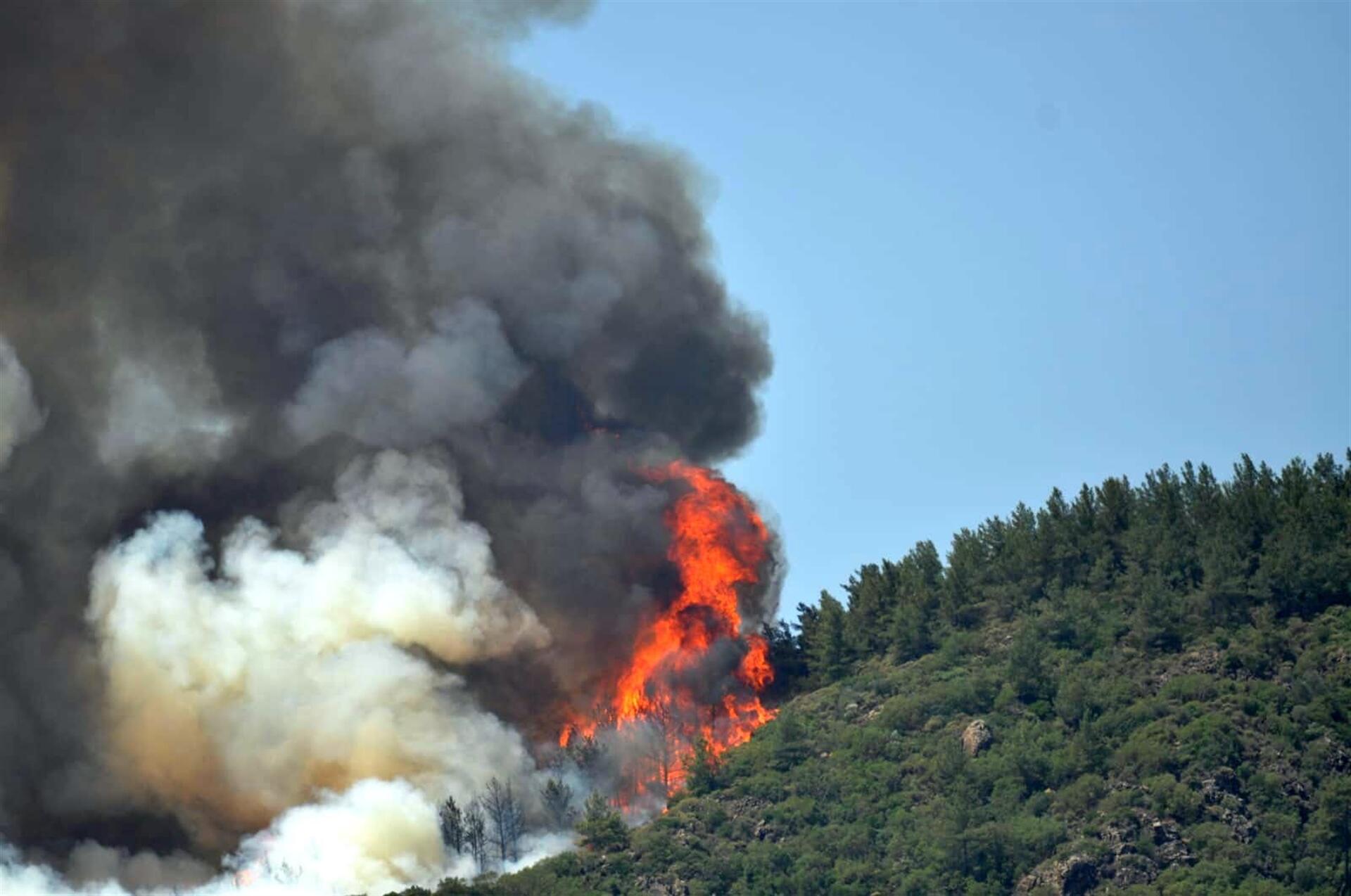 Лесные пожары угрожают турецким курортам Мармарис и Анталья. От огня погибли три человека