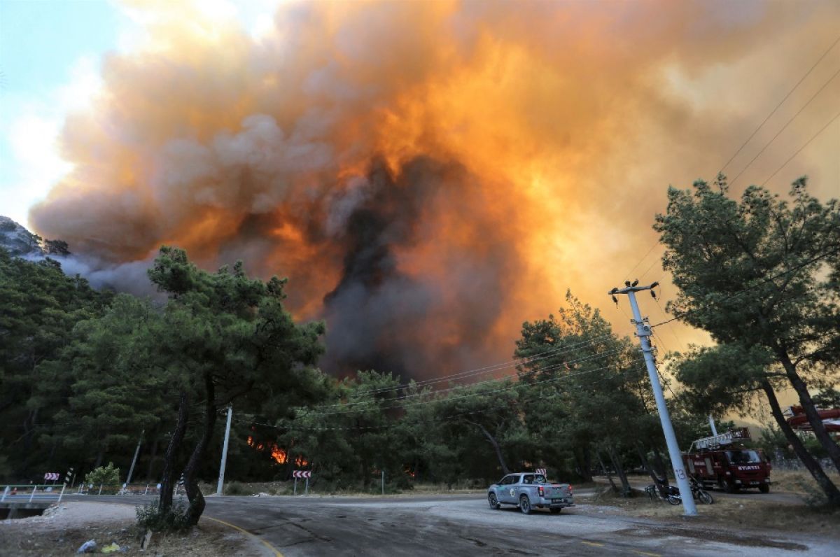 Президент Турции Реджеп Эрдоган объявил Анталью и еще несколько турецких провинций зонами бедствия из-за лесных пожаров