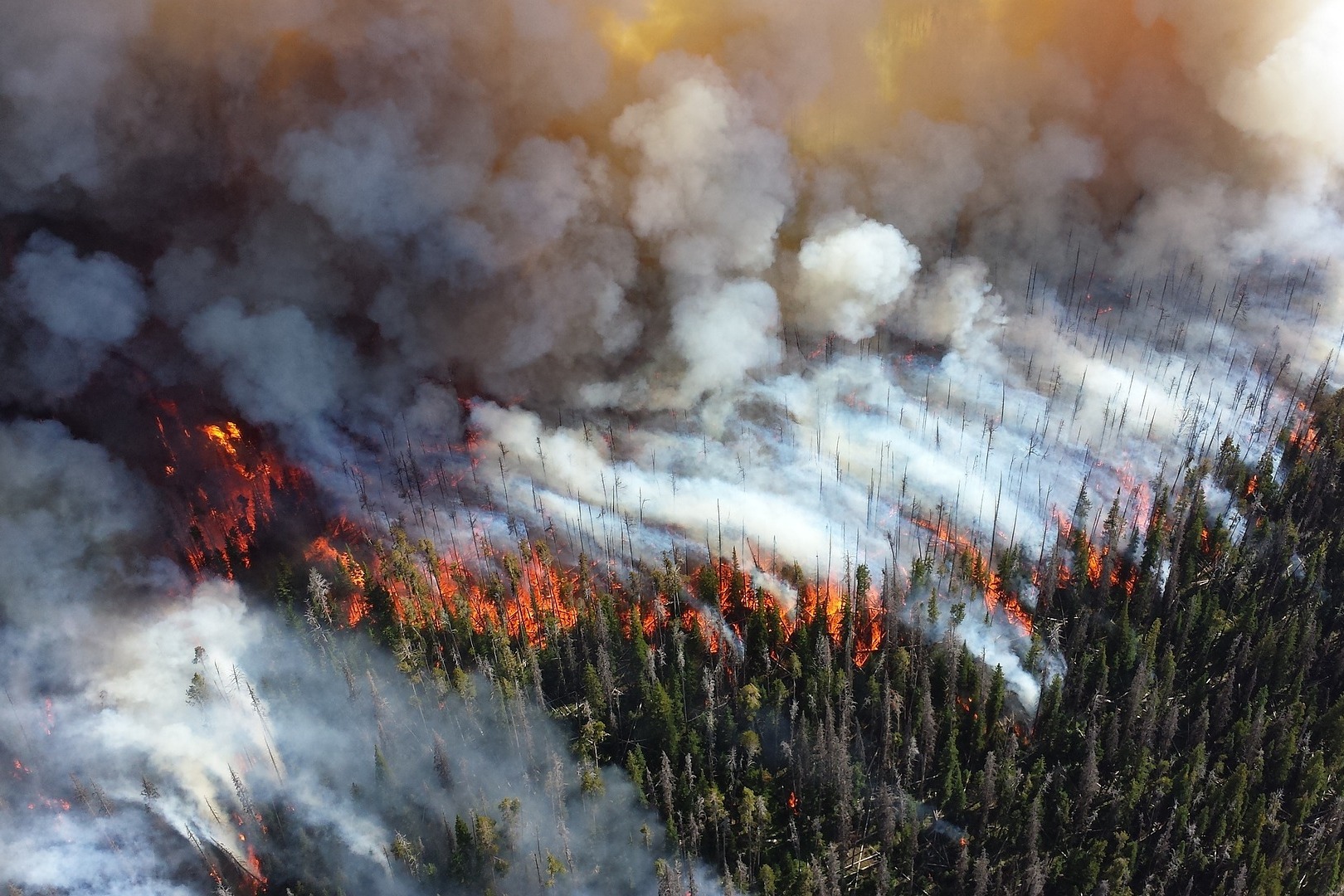 В Якутии продолжает гореть 100 тысяч гектаров леса