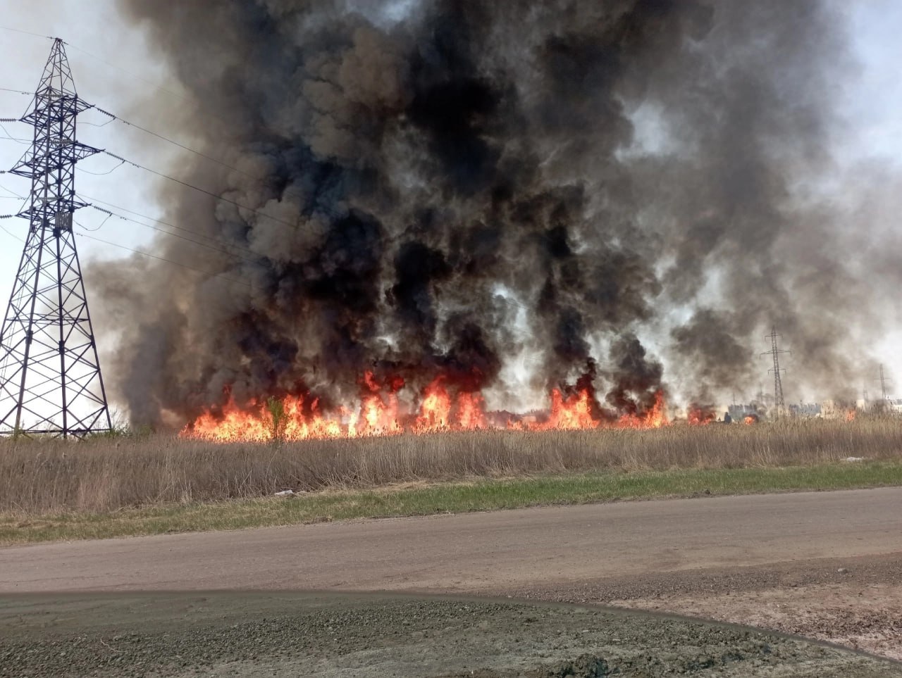 В лесных пожарах в Курганской области погибли 19 человек