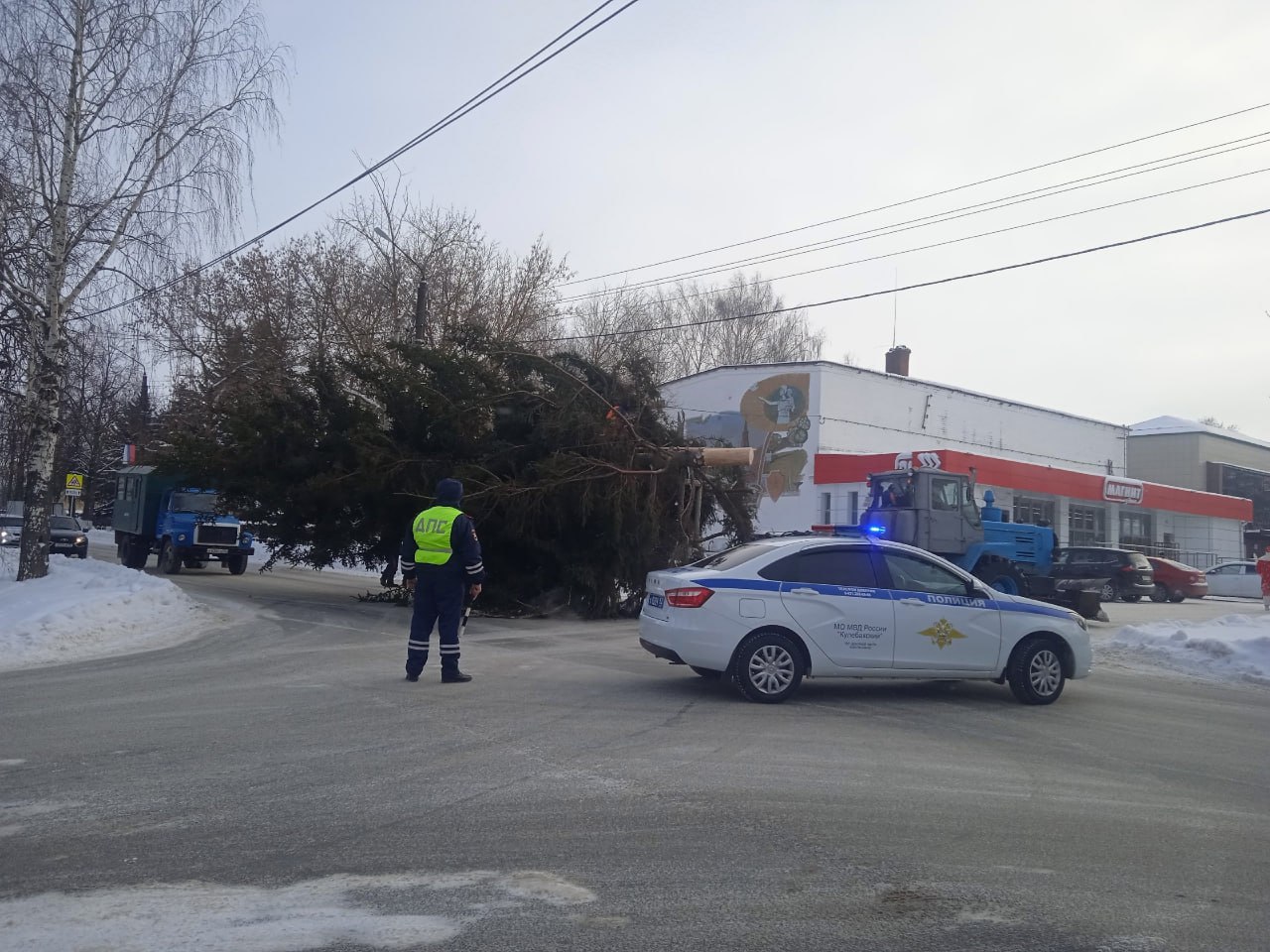 Чиновники опять срубили елку, которую посадила местная жительница, на этот раз в Нижегородской области. Дерево поставили у ДК 