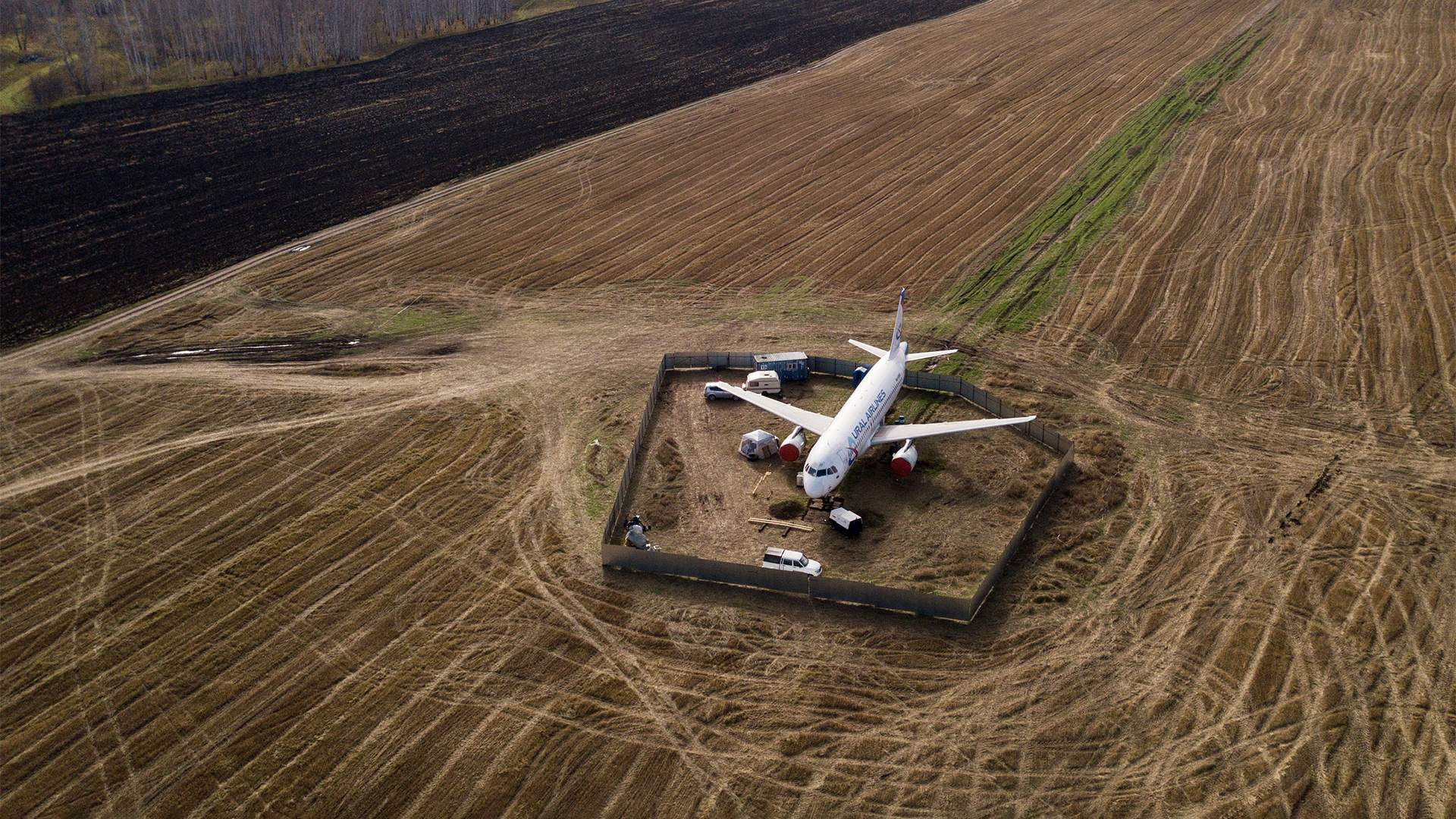 Росавиация завершила расследование посадки самолета в пшеничном поле и рекомендовала уволить двух топ-менеджеров «Уральских авиалиний»