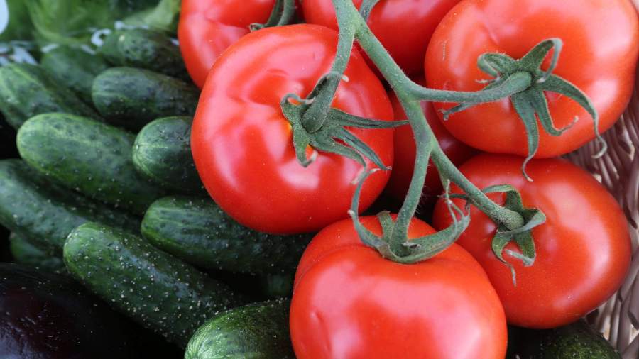 Литва ужесточит проверку овощей из ЕС, чтобы исключить нелегальный импорт помидоров и огурцов из России