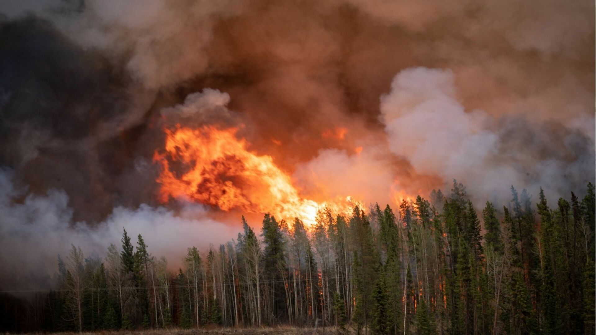 МЧС: В России действует 10 очагов лесных пожаров