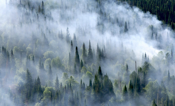 Якутск окутал дым от пожаров на землях лесного фонда 